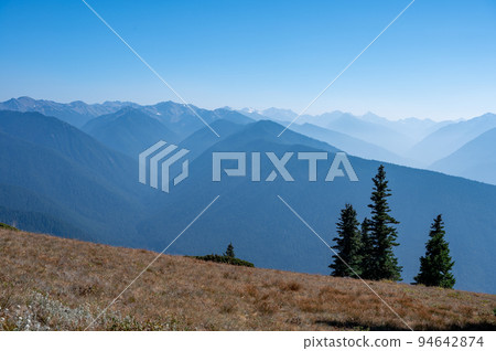 Mountains of Olympic National Park, Washington from Hurricane Ridge. 94642874