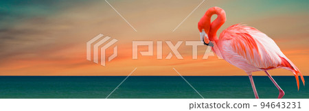 Two Flamingos Standing at the Tropical Shoreline Banner. 94643231