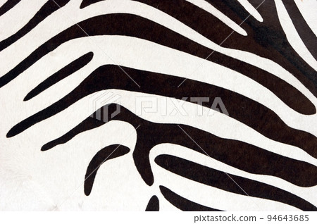 Zebra texture 94643685