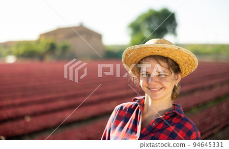 Young smiling girl farm worker standing on field during red lettuce harvest Young smiling girl farm worker standing on field during red lettuce harvest 94645331