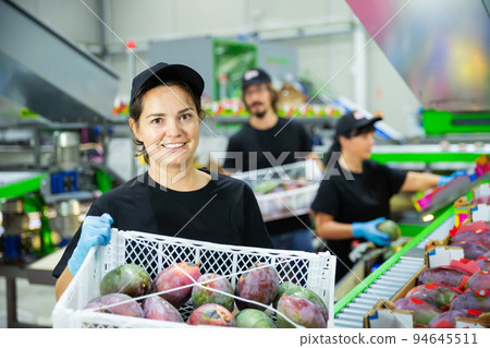 Woman carrying box with mangos at warehouse 94645511