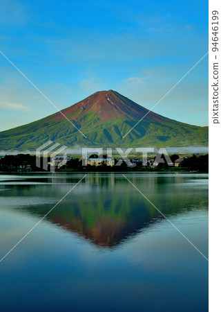 Fuji's morning glow from Lake Kawaguchi Fuji's morning glow from Lake Kawaguchi 94646199