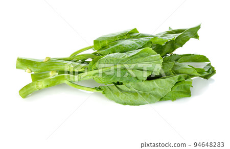 Green kale isolated on a white background 94648283