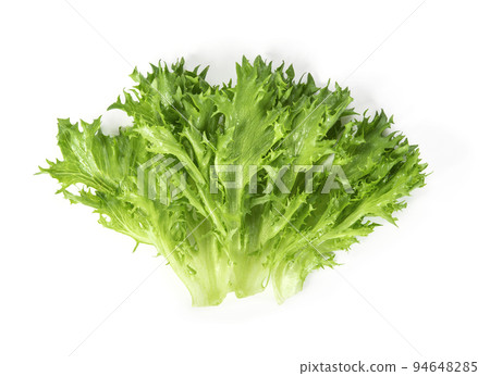 fresh lettuce isolated on white background 94648285