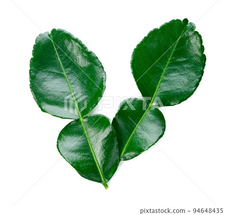 Kaffir lime leaf isolated on white background 94648435