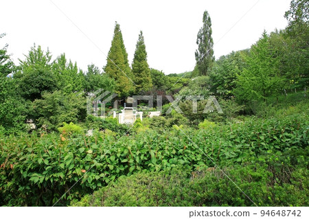 Garden scenery, natural scenery, travel 94648742