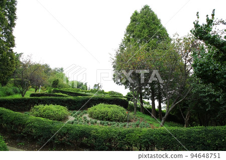 Garden scenery, natural scenery, travel 94648751