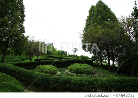 Garden scenery, natural scenery, travel 94648752