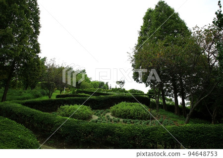 Garden scenery, natural scenery, travel 94648753