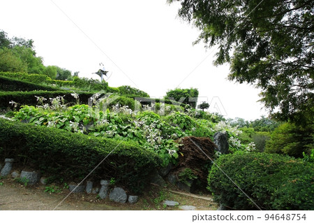 Garden scenery, natural scenery, travel 94648754