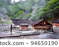 Oku Nikko Yumoto Onsen source 94650190