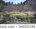 Oku Nikko Yumoto Onsen source 94650196