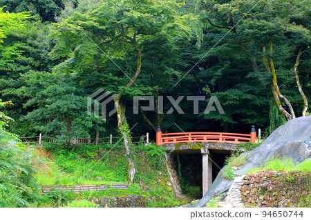 Strolling around Oda Nobunaga's mansion in summer 40 (Gifu City, Gifu Park) 94650744