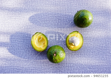 avocado on the grey background avocado on the grey background 94651235