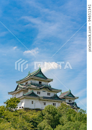 和歌山城堡塔和藍天 94651341