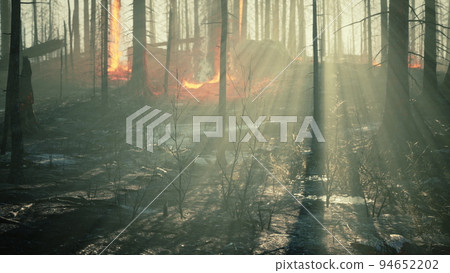 Rain forest fire disaster is burning caused by humans 94652202