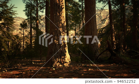 Giant Sequoias Forest of Sequoia National Park in California Mountains Giant Sequoias Forest of Sequoia National Park in California Mountains 94652252