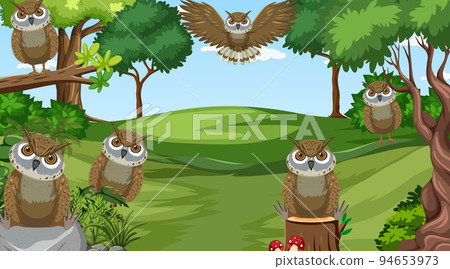 Owl birds in the forest scene 94653973