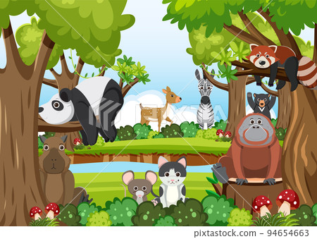 Cute wild animals in the forest Cute wild animals in the forest 94654663