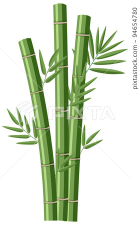 Isolated bamboos on white background Isolated bamboos on white background 94654780