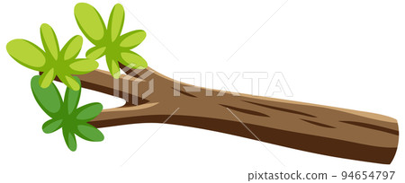 Isolated branch of tree Isolated branch of tree 94654797