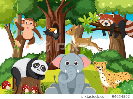 Cute wild animals in the forest 94654802