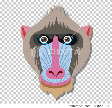 Cute mandrill head in flat cartoon style Cute mandrill head in flat cartoon style 94654984