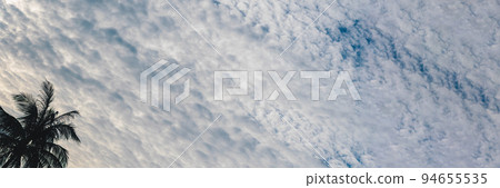 BANNER, LONG FORMAT Atmosphere panorama white cloud sky alone tropical palm tree background summer 94655535