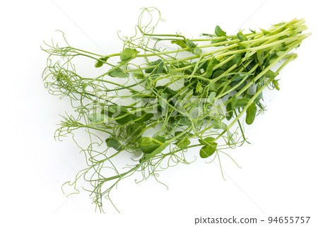 pea shoots with tendrils lying flat, isolated on white pea shoots with tendrils lying flat, isolated on white 94655757