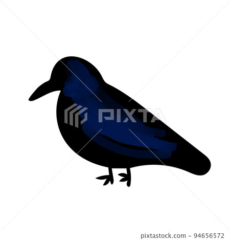 Black crow illustration isolated on white 94656572