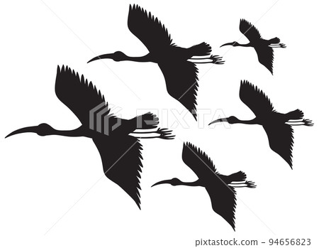 Silhouette stork birds flying 94656823