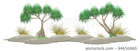 Mangrove trees on white background Mangrove trees on white background 94656860