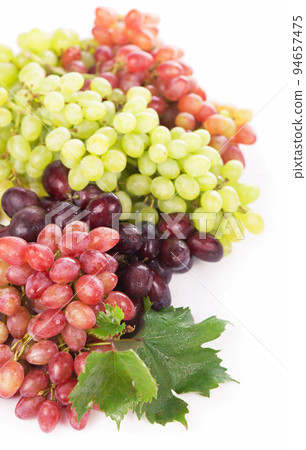 Red and white table grapes, wine grapes. Red and white table grapes, wine grapes. 94657475