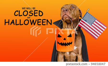 Signboard with the inscription We will be closed on Halloween 94658047