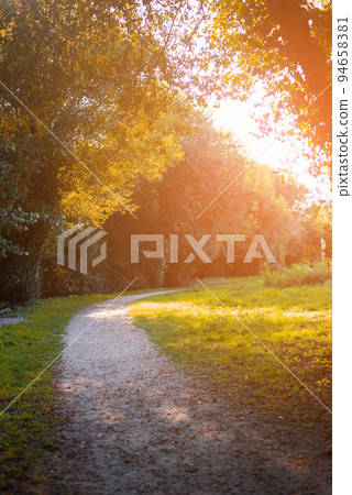 Path trough a forest in Europe 94658381
