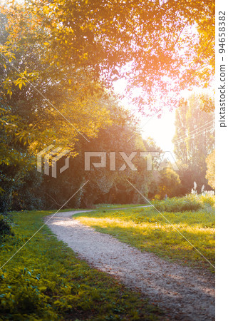 Path trough a forest in Europe 94658382