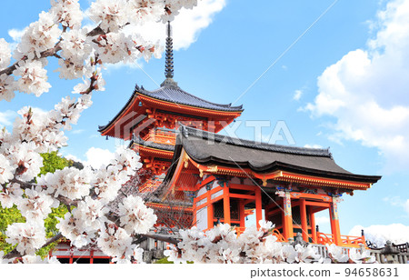 Kiyomizu-dera Temple (Clean Water Temple) and blooming sakura branches. Spring time in Kyoto, Japan 94658631