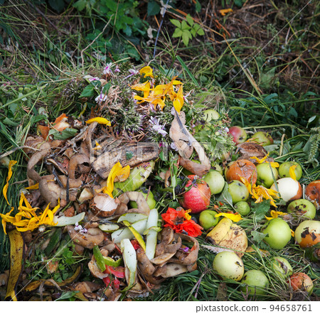 Compost heap in the garden Compost heap in the garden 94658761