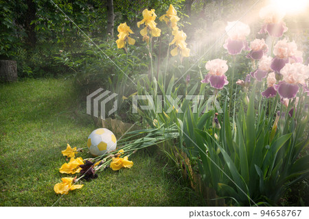 The ball crushed the flowers The ball crushed the flowers 94658767