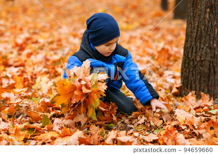 Portrait of a child boy in autumn city park. He collects leaves. Beautiful nature, trees with yellow leaves. Portrait of a child boy in autumn city park. He collects leaves. Beautiful nature, trees with yellow leaves. 94659660