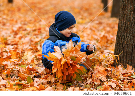Portrait of a child boy in autumn city park. He collects leaves. Beautiful nature, trees with yellow leaves. Portrait of a child boy in autumn city park. He collects leaves. Beautiful nature, trees with yellow leaves. 94659661