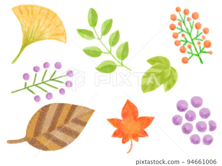 Autumn plants _ set Autumn plants _ set 94661006