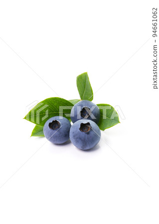 blueberry, white background blueberry, white background 94661062
