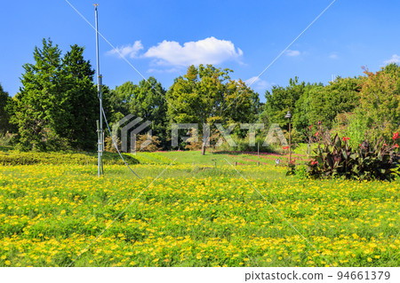 Umamikyuryo 公園 秋天的花朵盛開 Umamikyuryo 公園 秋天的花朵盛開 94661379