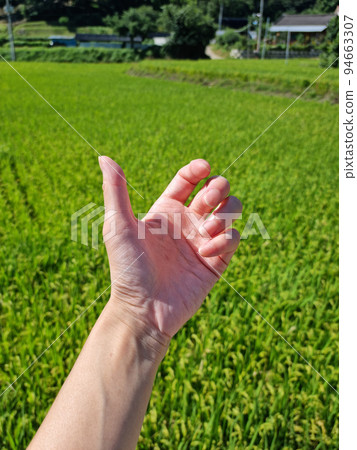 Woman hand Woman hand 94663307
