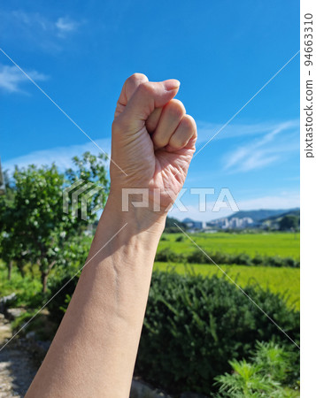 fist fist 94663310