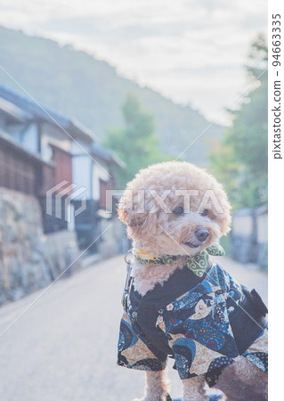 Izumo Taisha and dog 94663335