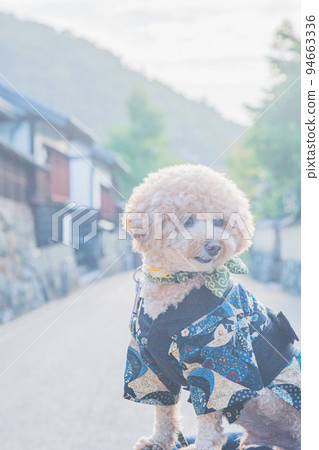 Izumo Taisha and dog Izumo Taisha and dog 94663336