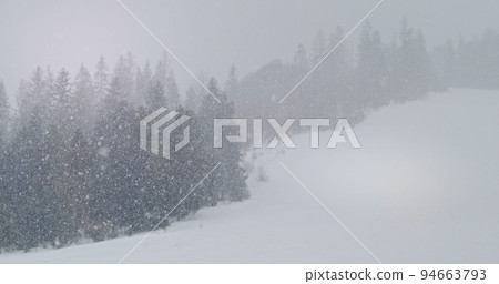 Snow fall landscape in mountains forest. Beautiful cold grey background. Mountain white winter nature. Natural snowing in fir, pine trees silhouettes. Frost scenery environment. Frozen season outdoor 94663793