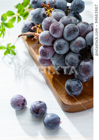 Grape (Kyoho from Yamanashi Prefecture) Grape (Kyoho from Yamanashi Prefecture) 94663987